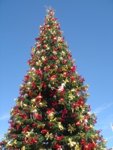 christmas-tree-pier39-brad-fults