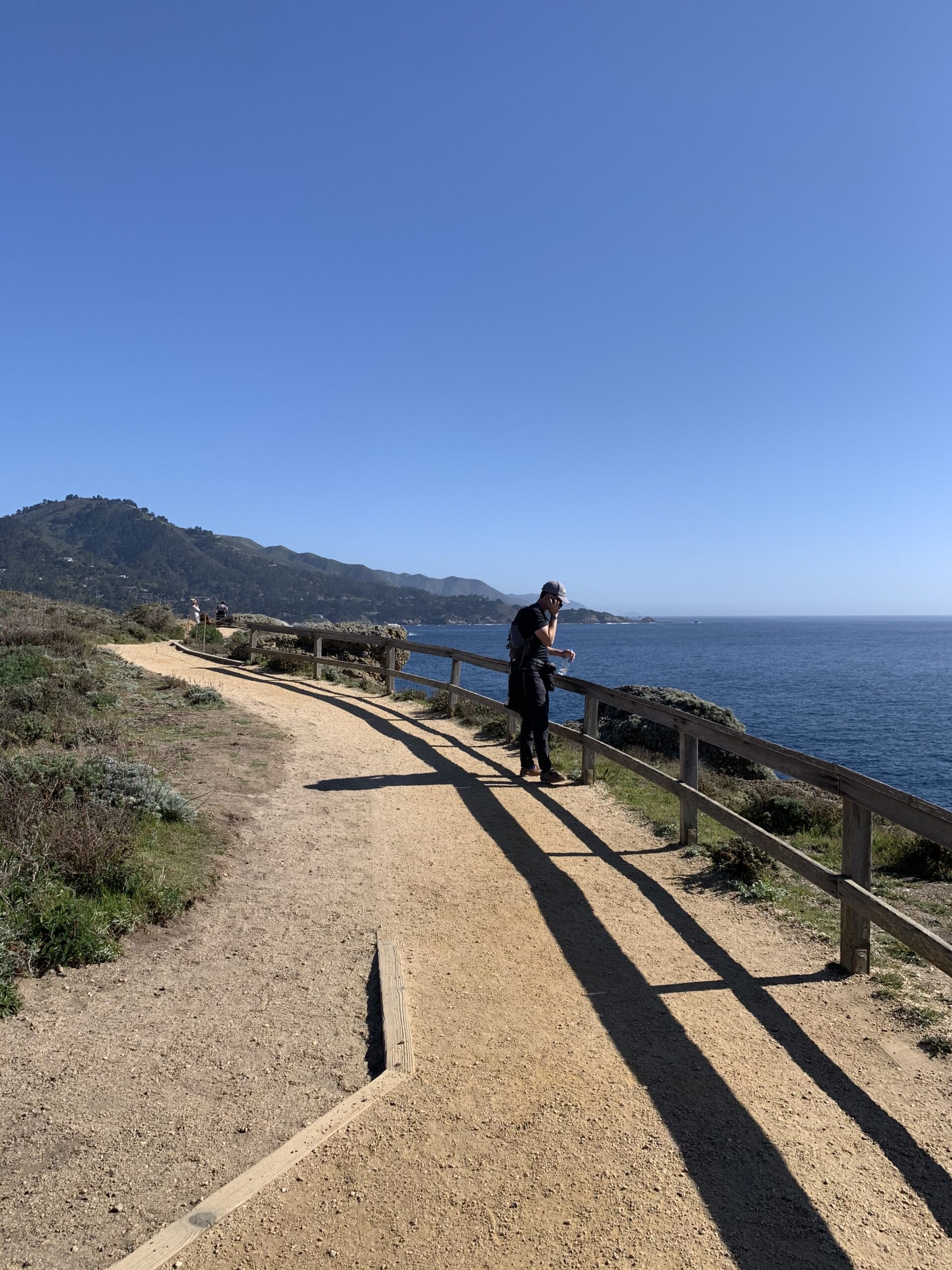 Hiking Point Lobos in Early Spring - The Heinrich Team